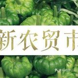 到处都洋溢出努力生活的喜悦