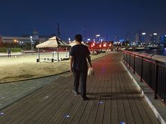 -海河外滩公园