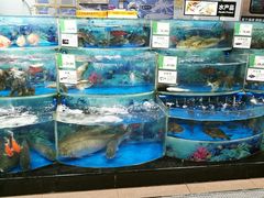 -AEON永旺(东方宝泰店)