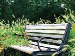 -永定河休闲森林公园