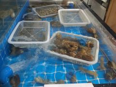 -锅老头铁锅炖•大锅蒸汽海鲜(韩乐坊店)