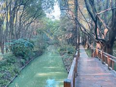 -同里国家湿地公园