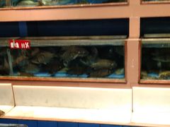 -皮记海鲜1995(寮步店)