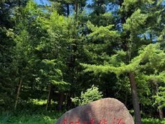 -五营红松林海景区