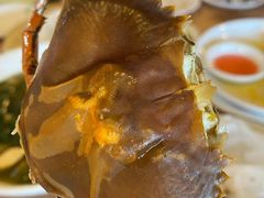 重皮蟹-崖口红树林海鲜餐厅