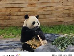 -秦皇岛野生动物园