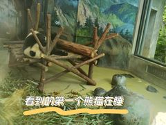 -成都大熊猫繁育研究基地