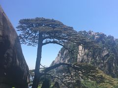 -黄山风景区