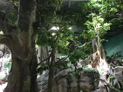 -福州罗源湾海洋世界旅游区