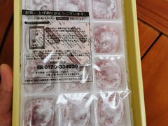 -关西国际机场直营免税店