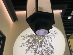 -大榕树下顺德菜(融创茂店)