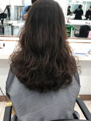 -镁连社·美联社