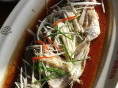 -丹江渔村(望京店)