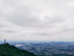 -紫金山山顶公园