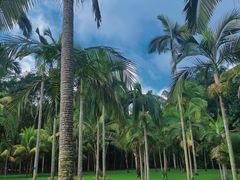 -中国科学院西双版纳热带植物园