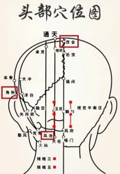 -Bollins波林丝•专研护发中心