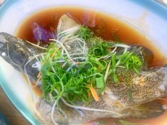 -蟹老板的海鲜