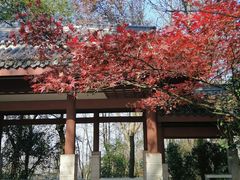 -岳麓山风景名胜区