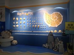 -石家庄海洋公园