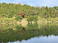 -仙海旅游度假区