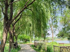 -长兴太湖图影湿地文化园