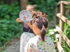 -铁山坪森林公园