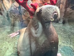 -波塞冬旅游度假区