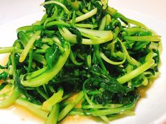 蒜蓉鸡毛菜-金春禧(世茂国际广场店)