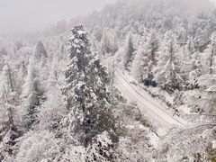 -瓦屋山景区