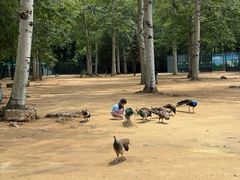 -秦皇岛野生动物园