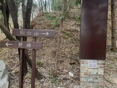 -阳台山自然风景区