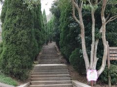 -青龙山公园