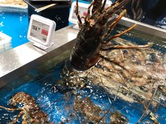 -盒马鲜生(领丰汇店)