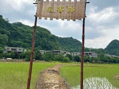 -高荡千年布依古寨旅游景区
