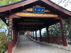 -长广溪湿地公园