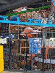 -嗨翻Hi-Fun竞技主题乐园·蹦床团建生日聚会(五棵松华熙店)