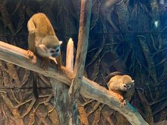 -北戴河圣蓝海洋公园