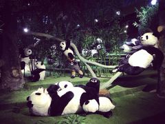 iphone_upload_pic-成都泰迪熊博物馆