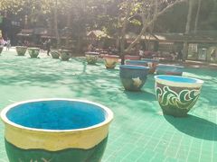 -西双版纳原始森林公园