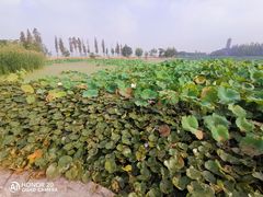 -云龙湖旅游景区