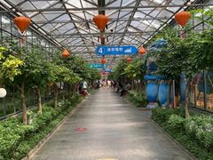 -南宫五洲植物乐园