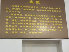 -陈辉鱼圆(五马步行街店)