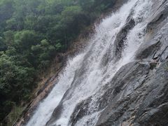 -广州白江湖森林公园