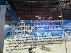 -哈尔滨极地公园