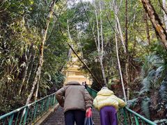 -云南屏边大围山国家公园