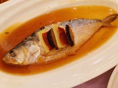 清蒸鲥鱼-宝燕壹号(徐汇店)