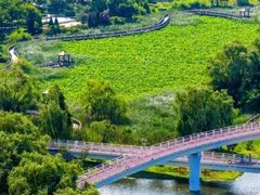 -羊亭河湿地公园