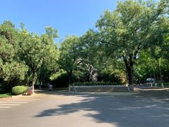 -山东大学(趵突泉校区)