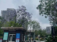 -观音桥步行街