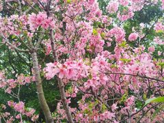 -森林公园(尖草坪区)